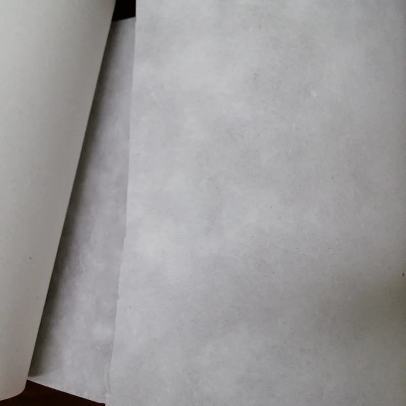 Stabilisateur de broderie en c - Embroidery Stabilizer Backing avis et prix